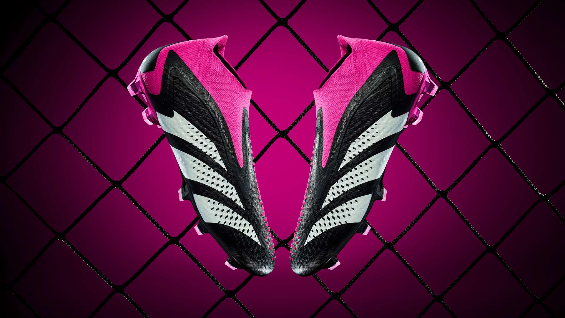 的关键步骤 的关键步骤